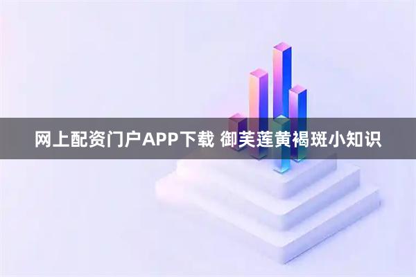 网上配资门户APP下载 御芙莲黄褐斑小知识